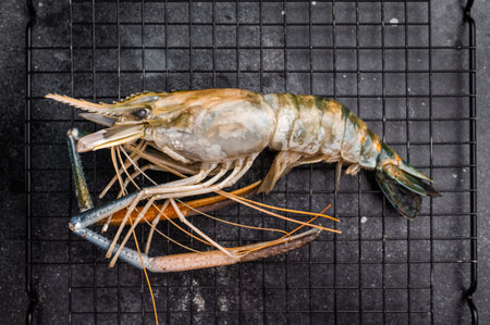 Fresh raw rosenbergii shrimp prawn, perfect for gourmet dishes and seafood lovers seeking premium...