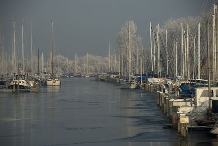 winter landscape in hollandの写真素材
