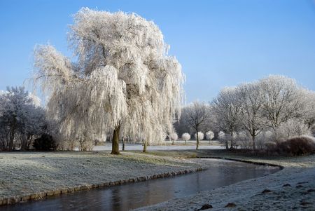 winter in hollandの写真素材