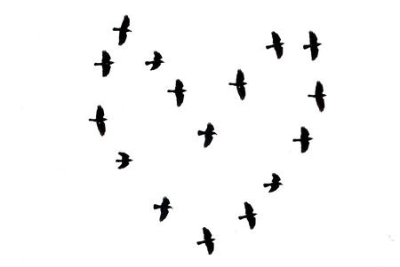 a lot of black birds flying in the skyの写真素材