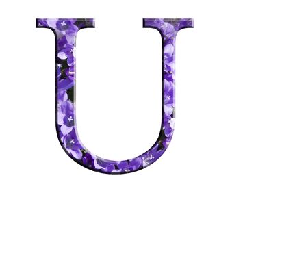 Letter U from the alphabet in flowers campanula の写真素材