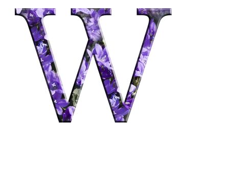 Letter W from the alphabet in flowers campanula の写真素材