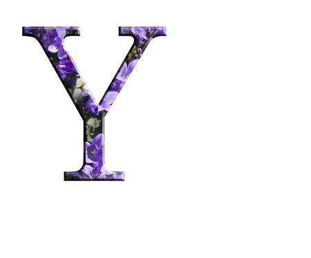 Letter Y from the alphabet in flowers campanula の写真素材