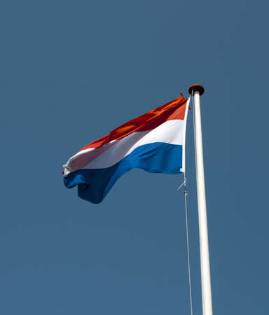 dutch flagの写真素材