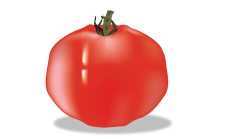 tomatoのイラスト素材
