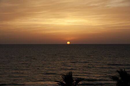 tropical sunset with palmtrees in frontの写真素材