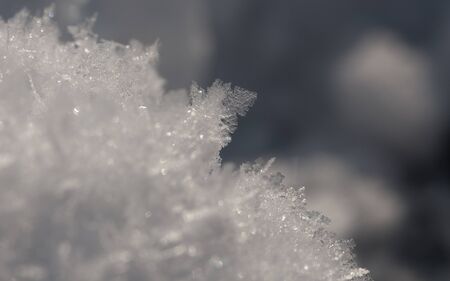 macro snow cristalsの写真素材