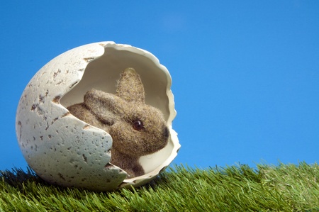 easter bunny insite egg with green grass and blue skyの写真素材
