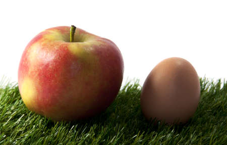 apple and egg on green grass with white backgroundの写真素材