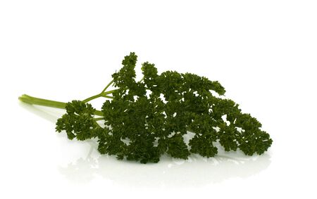 green parsley on isolated white backgroundの写真素材