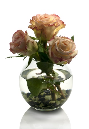vase with orange roses isolated on whiteの写真素材