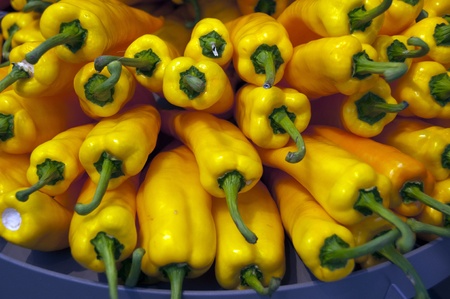 yellow paprika on the floriade show 2012 in Hollandの写真素材