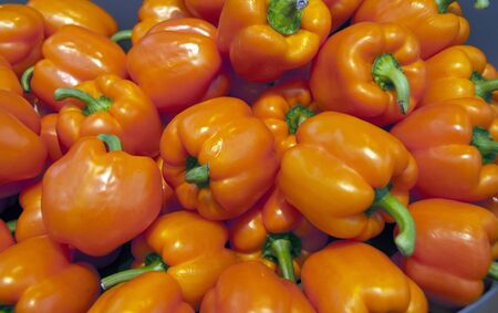 orange paprika on the floriade show 2012 in Hollandの写真素材
