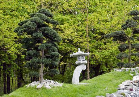 bonsai trees and concrete structure in japanese gardenの写真素材