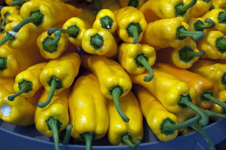 yellow paprika on the floriade show 2012 in Hollandの写真素材