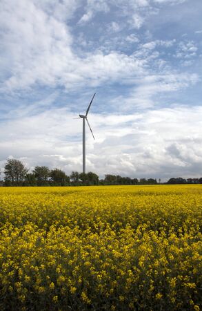 windmill in landscape with yellow rapeseedの写真素材