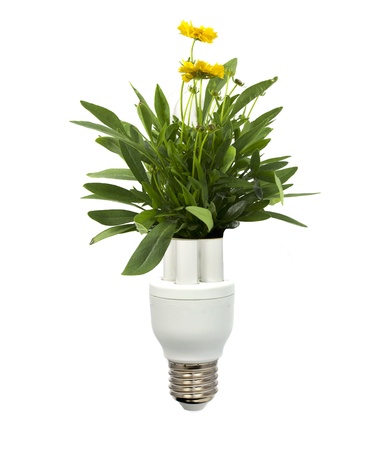 green energy with light bulb and natureの写真素材