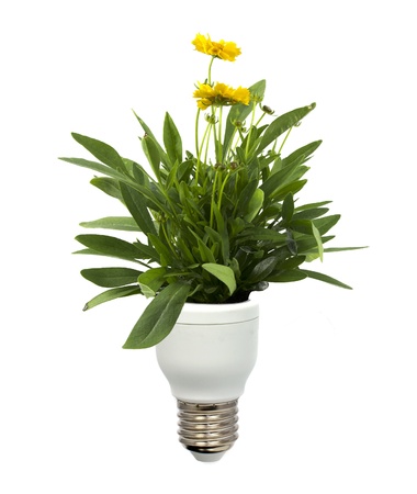 green energy with light bulb and natureの写真素材