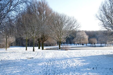dutch landscape in the snowの写真素材