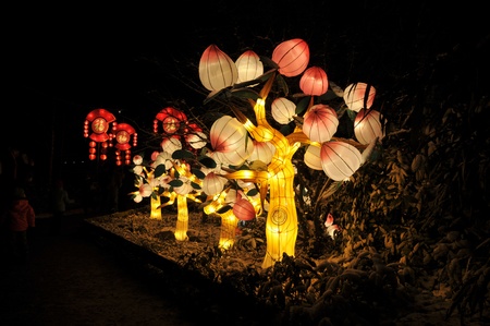 Chinese light festival in Holland Europeのeditorial素材