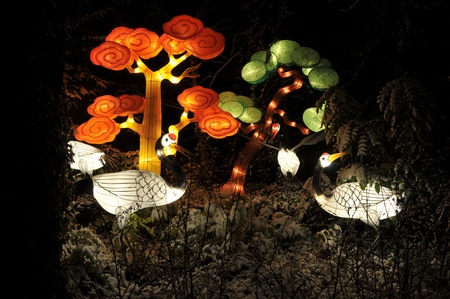 Chinese light festival in Holland Europeのeditorial素材