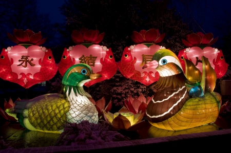 Chinese light festival in Holland Europeのeditorial素材
