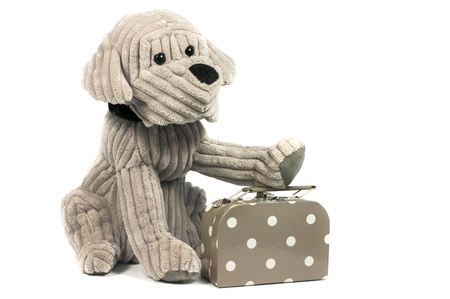 play dog with suitcase isolated on whiteの写真素材
