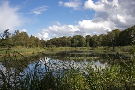 small lake in the dunes of Hollandの写真素材