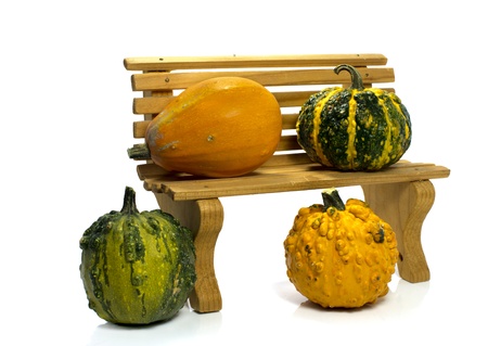 One big orange green pumpkin in closeup over white backgroundの写真素材