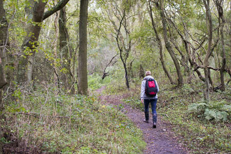 green forest in autumnand  adult woman with backpackの写真素材