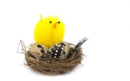 easter eggs in rotan birds nestの写真素材