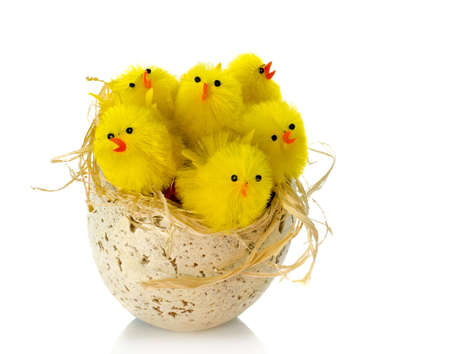 egg with yellow toy chicksの写真素材