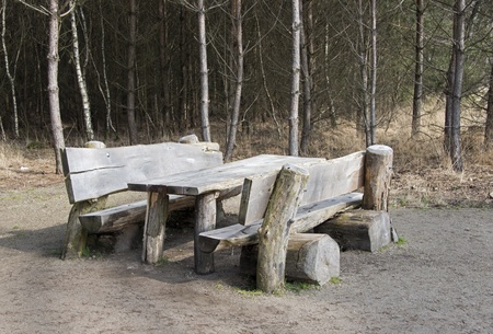 wooden bench in the forest in holland の写真素材