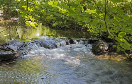 running water in the river semois in belgium  natureの写真素材
