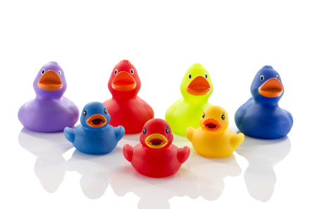 toy ducks isolated on white の写真素材