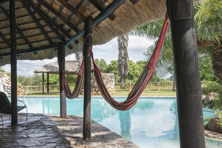 tropical swimming pool with palm trees in lodge south africaの写真素材
