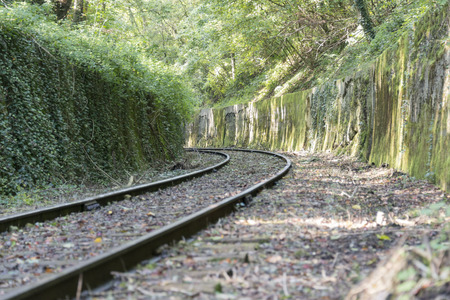 railroad track in the forestの写真素材