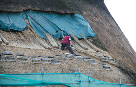 KAATSHEUVEL,HOLLAND - NOVEMBER 8: Roof thatcher on top of a home renew the straw roof on November 8,2014. Thatching is a traditional craft enjoying a resurgence in use.のeditorial素材