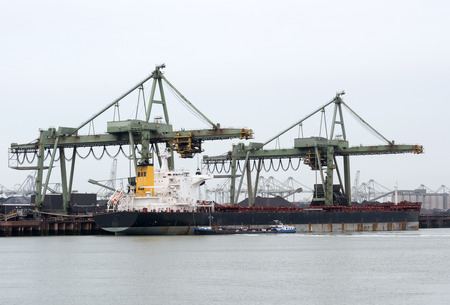 big industrial cranes for unloading ship with coal in Rotterdam harborの写真素材