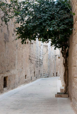 old street in the village mdina on the island Maltaの写真素材