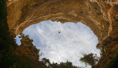 saegull bird flying between the rocks in algarve portugalの写真素材