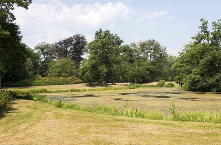 big green garden with water pond and decorated plants and treesの写真素材