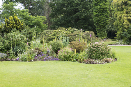 big english garden with borders and flowersの写真素材