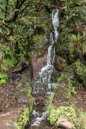 waterfall on madeira island on levada tracking in wild natureの写真素材