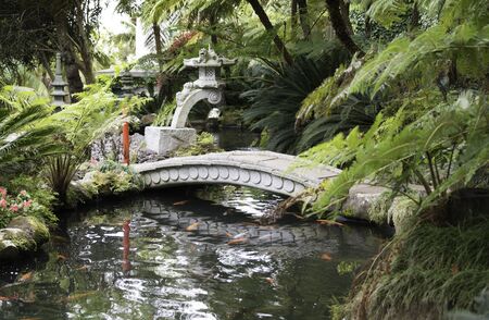 japanese garden with goldfish en green plants in madeira botanical gardenのeditorial素材