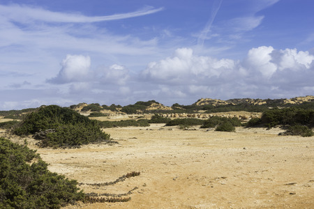 landscape in portugal alentejo area with dry sand and green plants with summer blue sky の写真素材