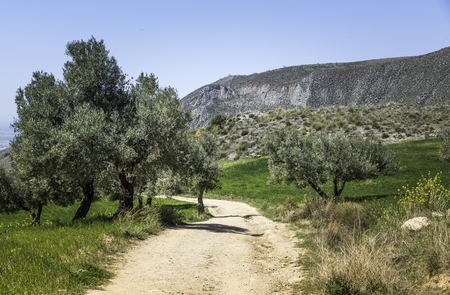 curved walking track in the  mountains of andalusia in spain near Zuheros Villageの写真素材