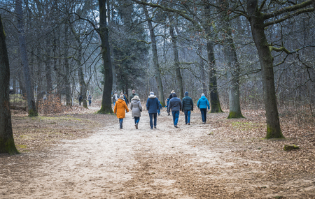 adult people walking in the forestのeditorial素材