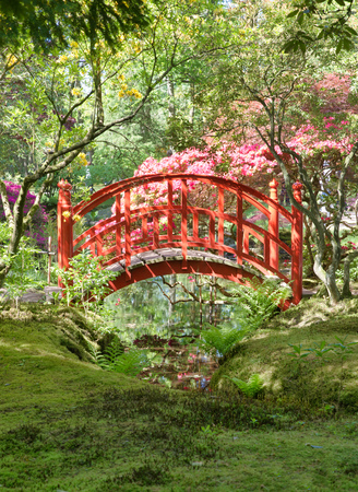red bridge in japanese gardenの写真素材