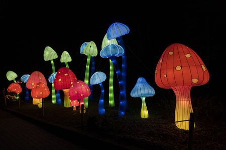 chinese light festival with red and blue fungusのeditorial素材